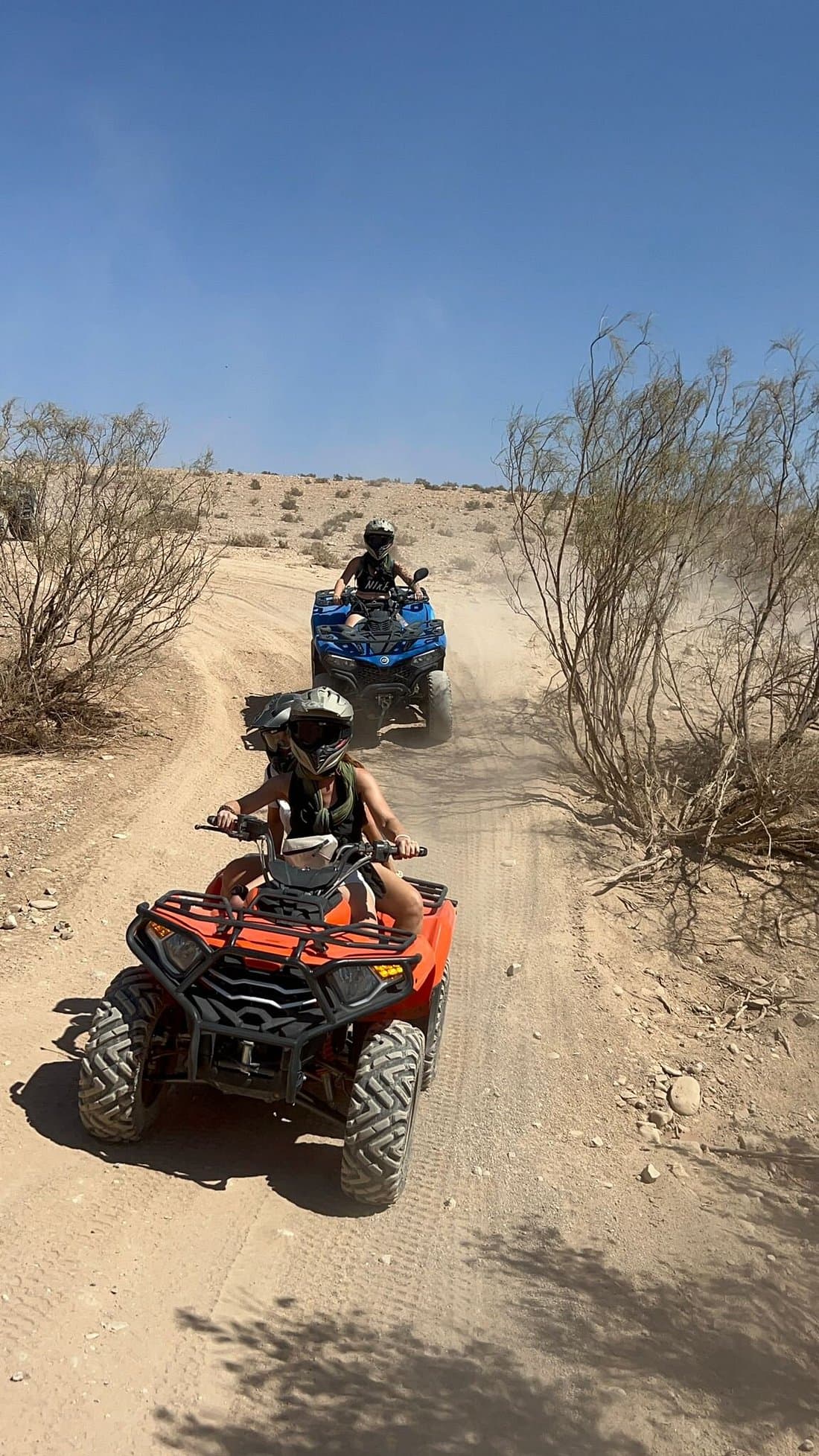 Activity image 4