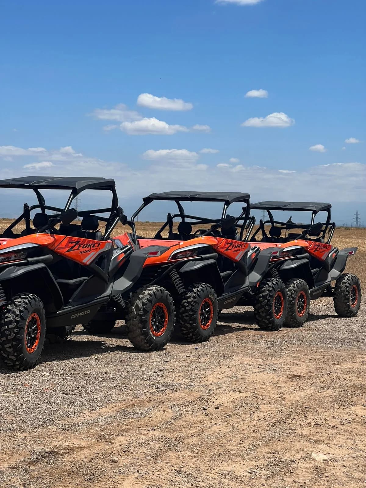 Marrakech: Buggy Ride to Palm Oasis and Jbilat Desert