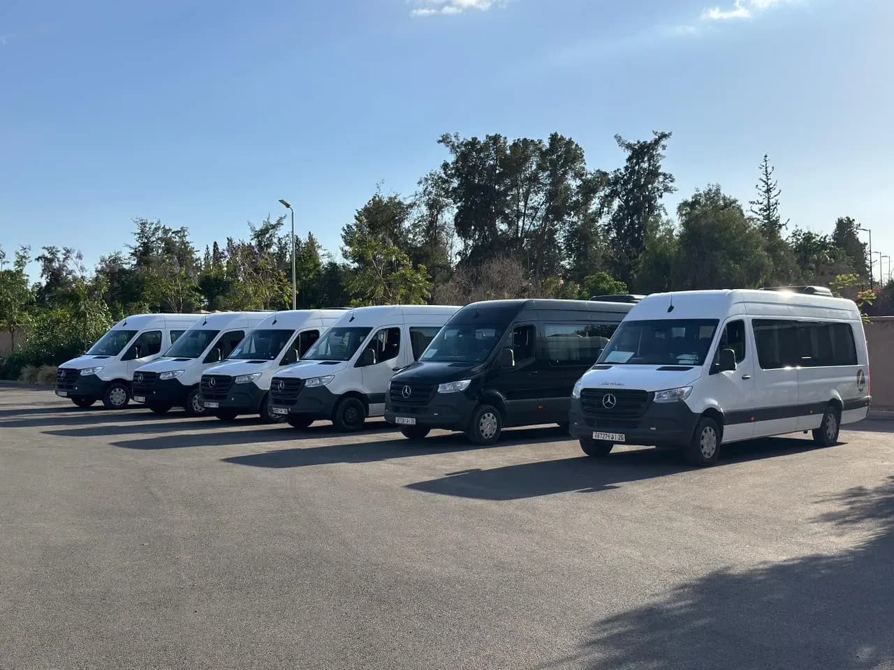 Minibuses