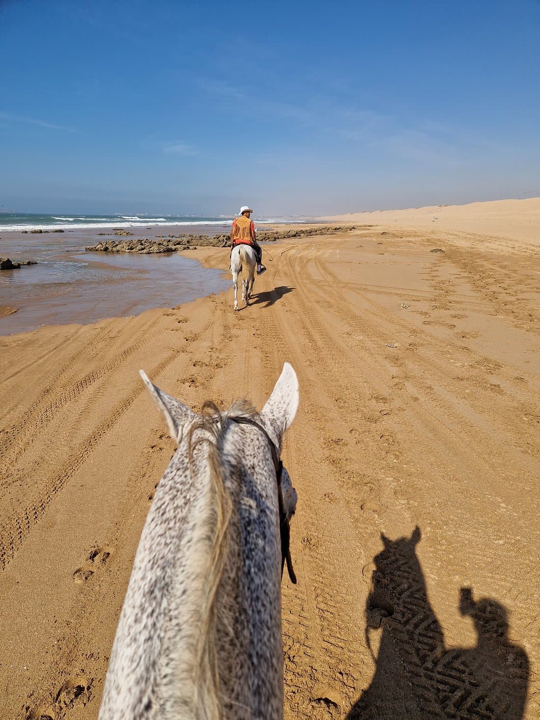 Activity image 2