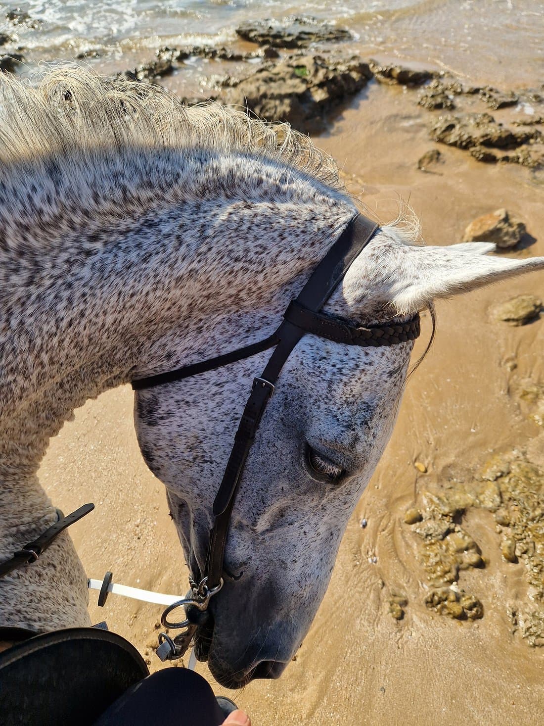 Activity image 1